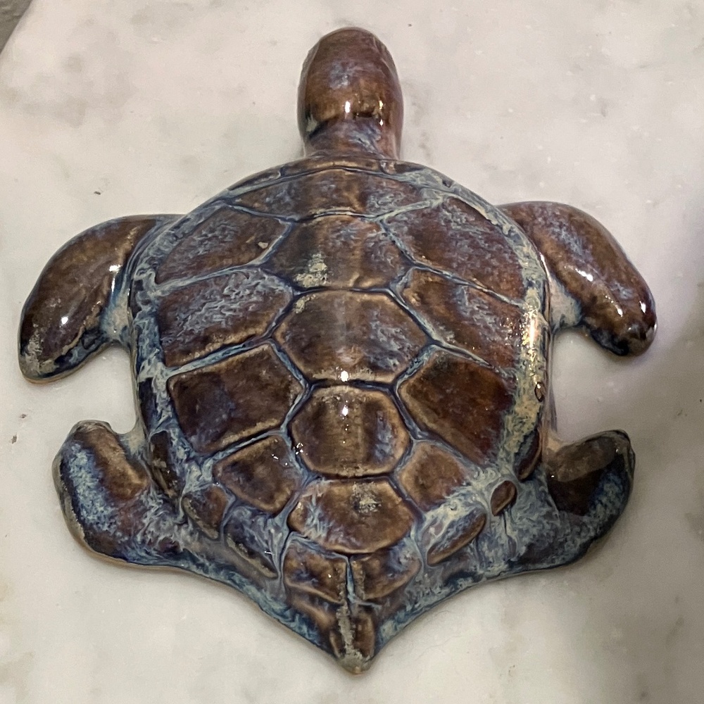 Sea Turtle - Picture 3 of 11